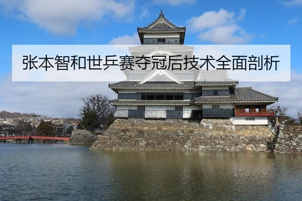 张本智和世乒赛夺冠后技术全面剖析